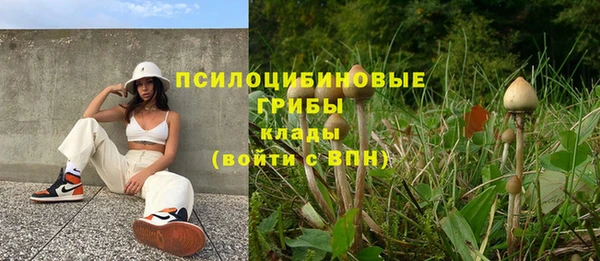 соль ск Куйбышев