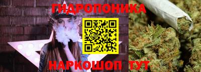 сатива Балахна