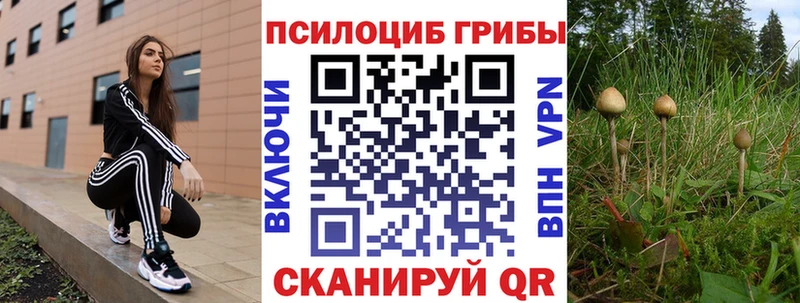 закладки  Беслан  Псилоцибиновые грибы MAGIC MUSHROOMS 