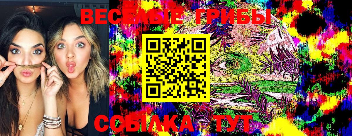 Псилоцибиновые грибы Cubensis Беслан