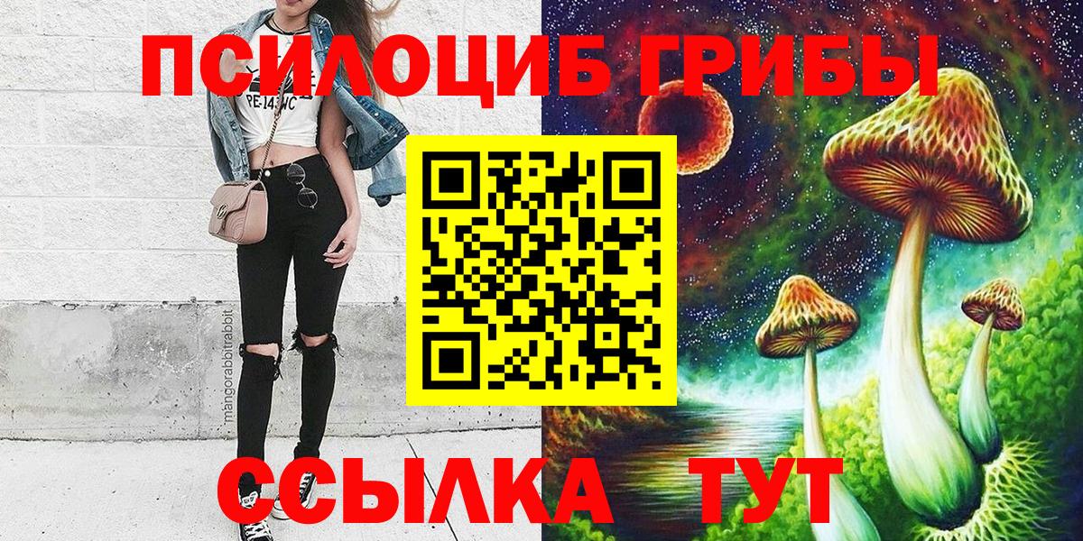 Беслан  цены   Вход с VPN  Галлюциногенные грибы GOLDEN TEACHER 